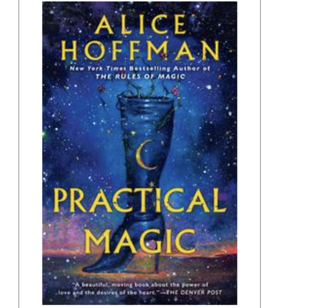 Great Condition Paperback Book - Practical Magic